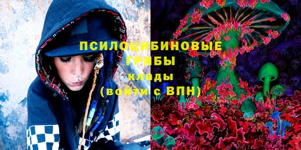 дурь Верея