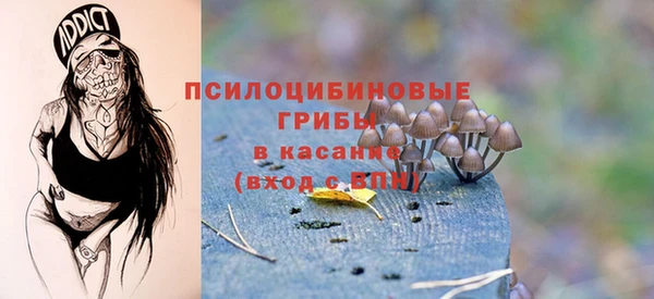 гидра Мегион